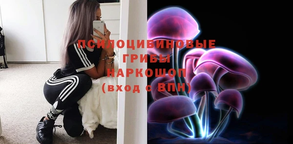 крисы Нефтекумск