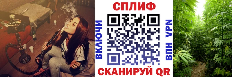 Канабис план  купить   Лермонтов 